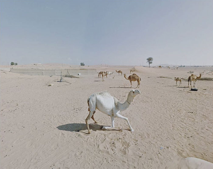 Sharjah, United Arab Emirates