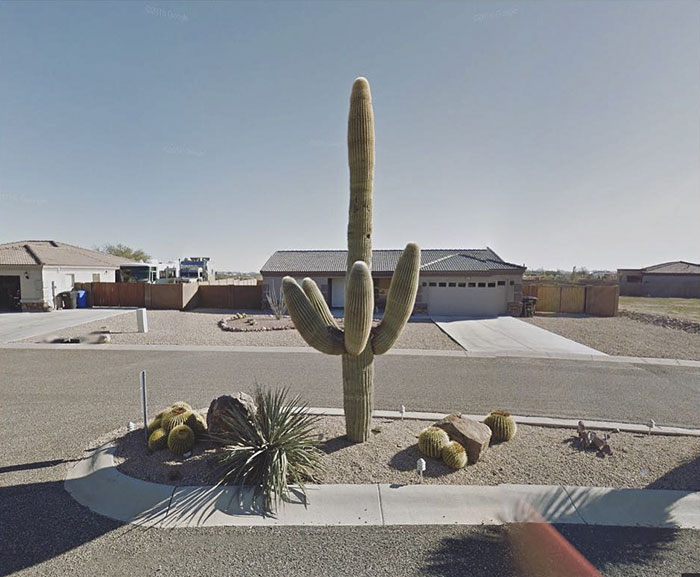 Mesa, Arizona, United States