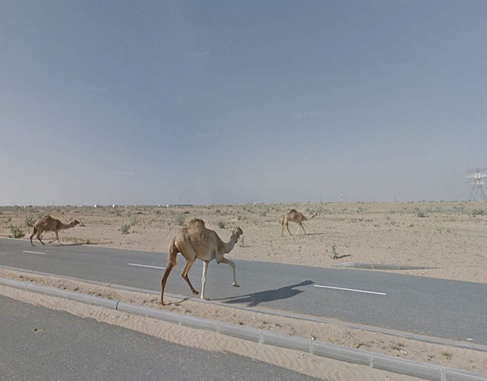 Sharjah, United Arab Emirates