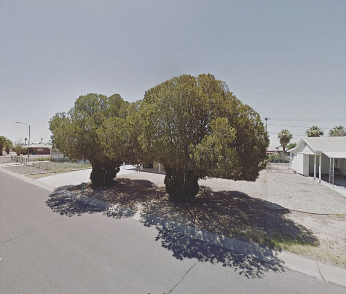 Oungtown, Arizona, United States