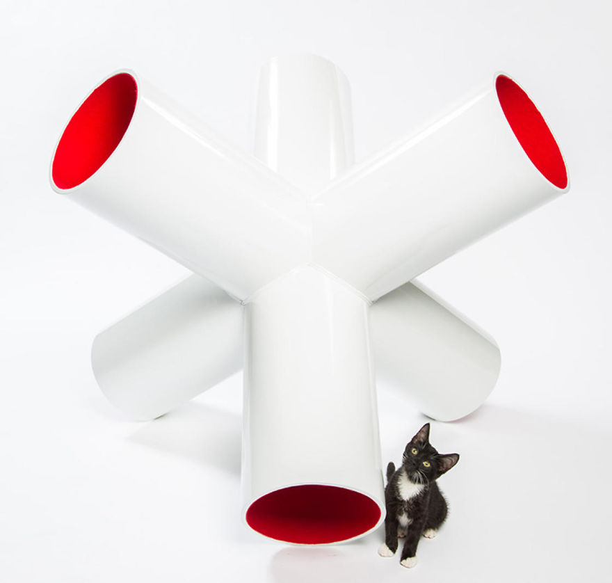 Abramson Teiger Architects’ “White Jack,” Which References The Traditional Game Of Jacks With A Tubular Structure That Cats Can Crawl Through