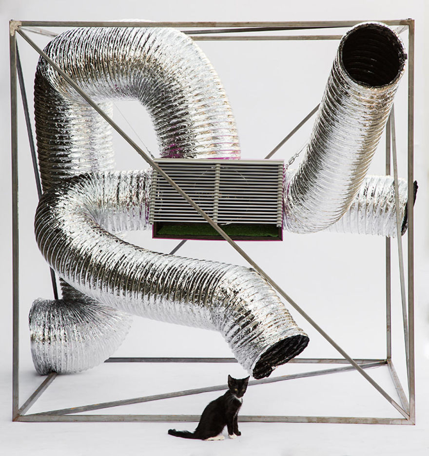 d3architecture’s Upcycled-HVAC Equipment Shelter, A Quirky Take On Feral Cats Living In Urban Alleys
