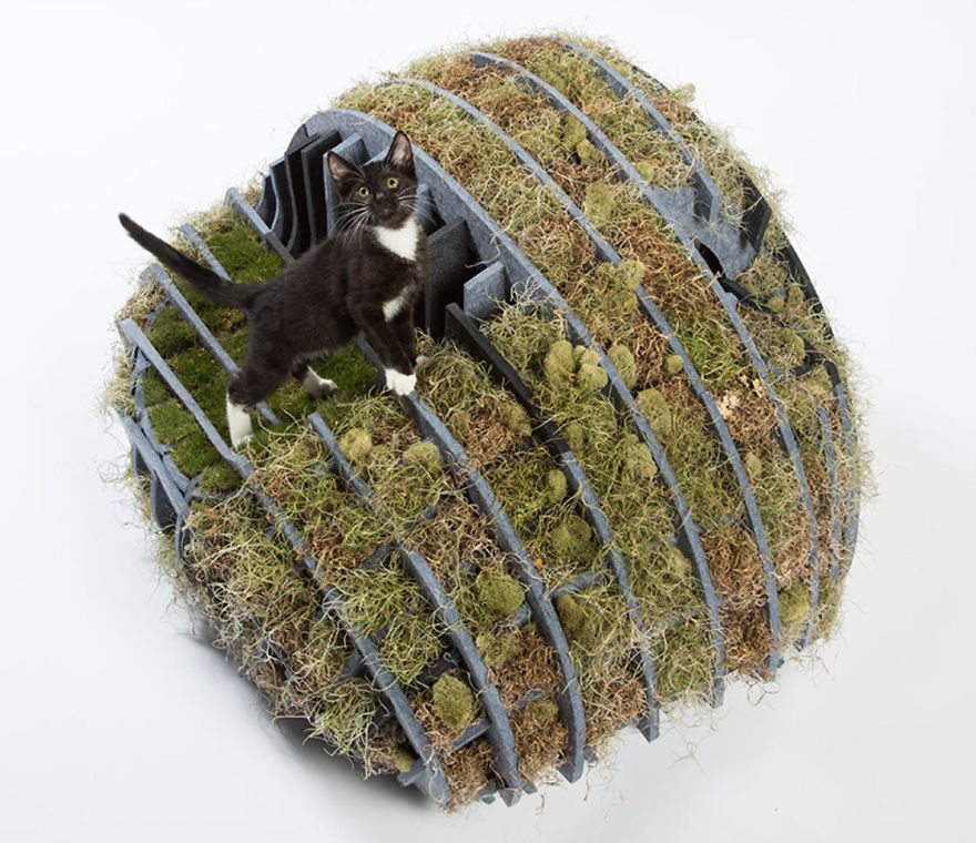 Formation Association, Terremoto Landscape, And Arktura’s Collaborative Project “Flora-Gato,” A Biomorphic Trellis-Pouf Of Recycled, Fiberized Plastic, Spanish Moss, And Korean Grass