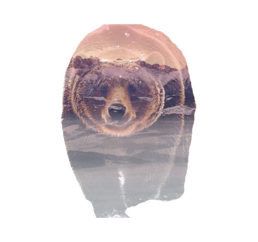 I Use Double Exposure To Create A Series That Merge Wildlife With Landscapes