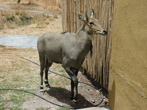 Wildlife Sanctuary In Chhattisgarh Wildlife Sanctuary In Chhattisgarh