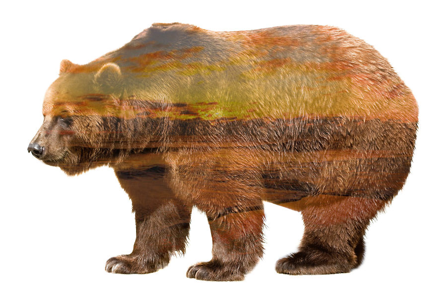 I Use Double Exposure To Create A Series That Merge Wildlife With Landscapes I Use Double Exposure To Create A Series That Merge Wildlife With Landscapes