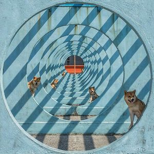 elisa-eichinger avatar