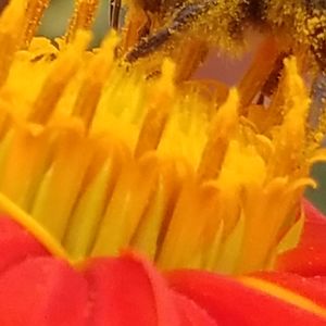 bettywilma4281 avatar