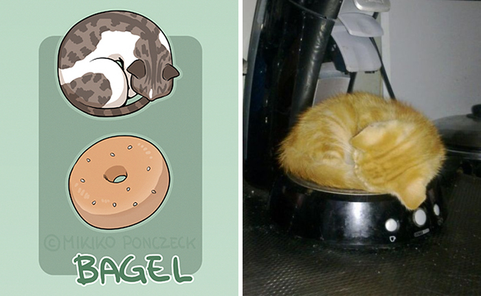 Artist Proves Cats Are More Bread Than You'd Think