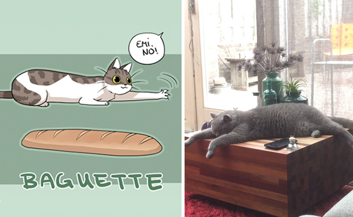 Artist Proves Cats Are More Bread Than You'd Think