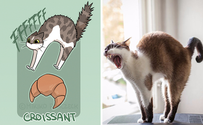 Artist Proves Cats Are More Bread Than You'd Think