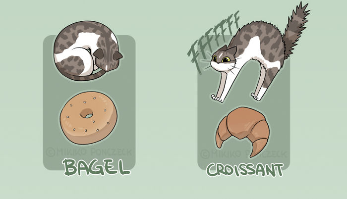 Artist Proves Cats Are More Bread Than You'd Think Artist Proves Cats Are More Bread Than You'd Think