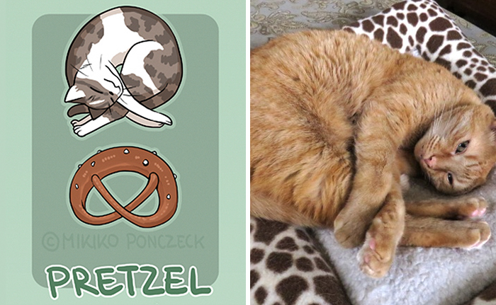 Artist Proves Cats Are More Bread Than You'd Think