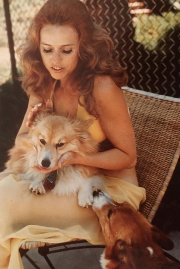 My Grandma Posing With Her Corgis (1970s)