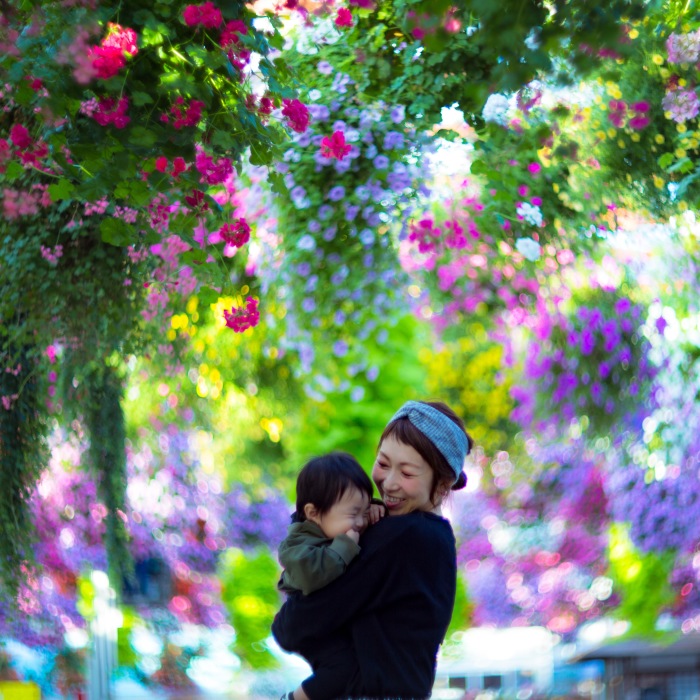 My Pictures Look Like Paintings Because I Use An Old Lens