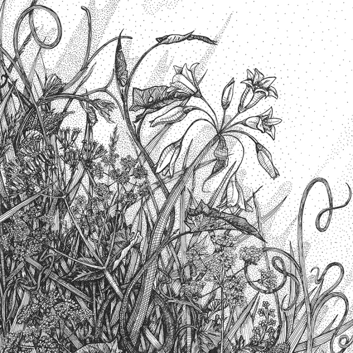 ‘ Vitamin N ‘ Or How I Reconnected With Nature By Illustrating London’s Hidden Flora