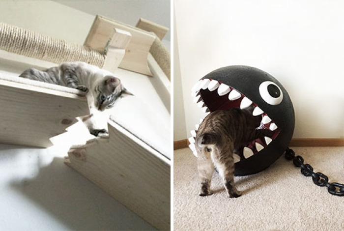 Unconventional Cat Furniture Ideas That Never Made It