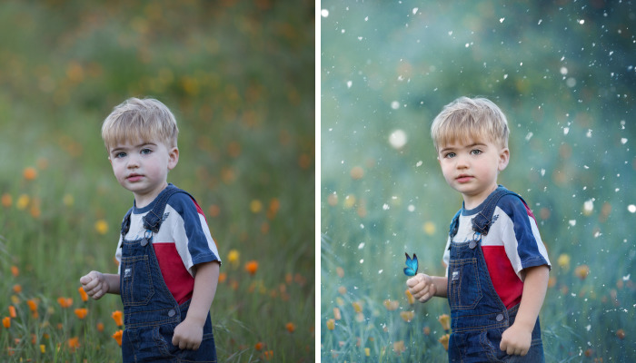 Photographer Uses Butterflies To Create A New Mini Photo Series Out Of Old “Unusable” Images