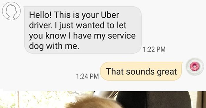 41 Times Uber Drivers Surprised Their Clients