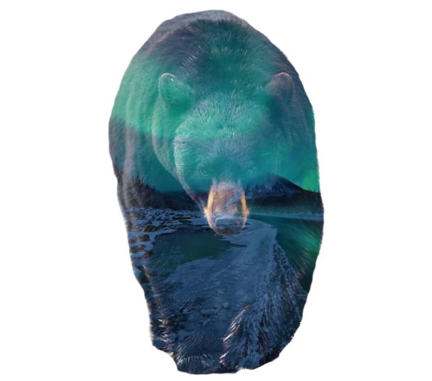 I Use Double Exposure To Create A Series That Merge Wildlife With Landscapes