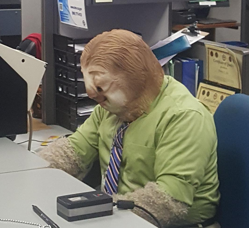 dmv-halloween-office-zootopia-character-17 dmv-halloween-office-zootopia-character-17