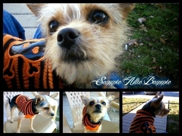 When The Best Things In Life Are Free