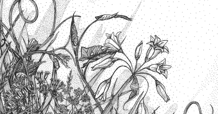 ‘ Vitamin N ‘ Or How I Reconnected With Nature By Illustrating London’s Hidden Flora