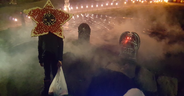 No, My Son Was Not A Flower For Halloween