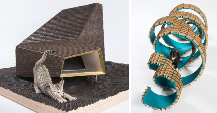Architects Create Amazing Homes For Cats To Help Homeless Felines
