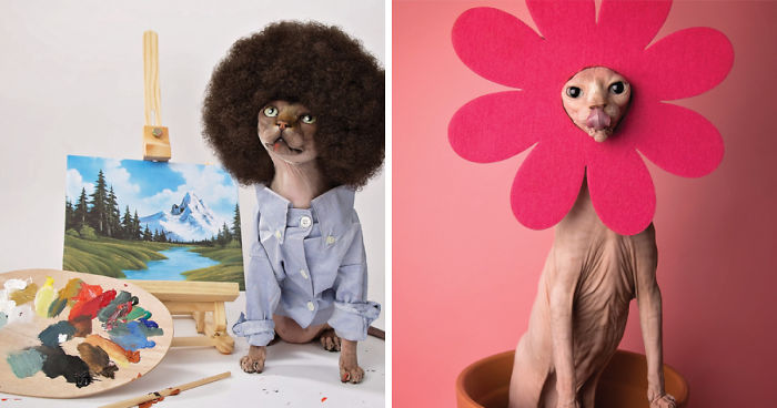 I Made A Calendar Of Sphynx Cats For 2018 That Takes Nude To A Whole New Level