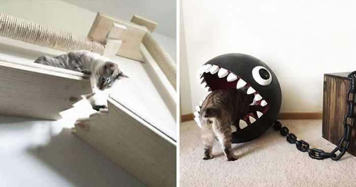 Unconventional Cat Furniture Ideas That Never Made It