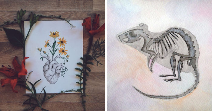 After Spending More Time With Animals Than Humans, I Started Creating Anatomy Art