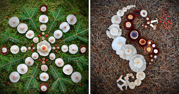 I Create My Own Dream World Using Wild Mushrooms