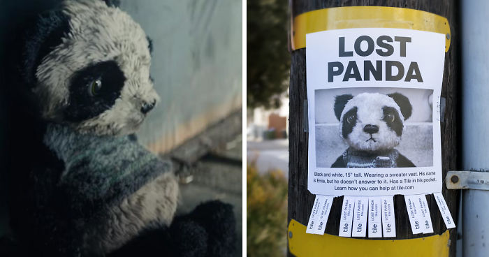This Lost Panda In A Big City Will Melt Your Heart