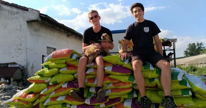 Helping 850 Dogs Is Not Easy At All…but It Makes Me Happy