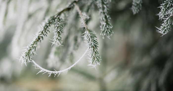 Incredible Temperature Inversion In The Karkonosze Mountains