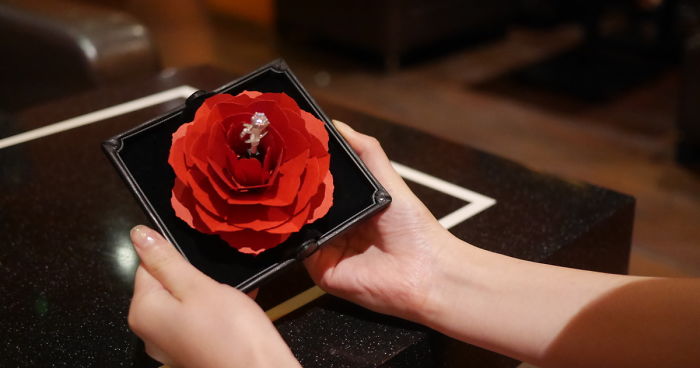 “Grace” Ring Case : The Most Romantic Way To Propose