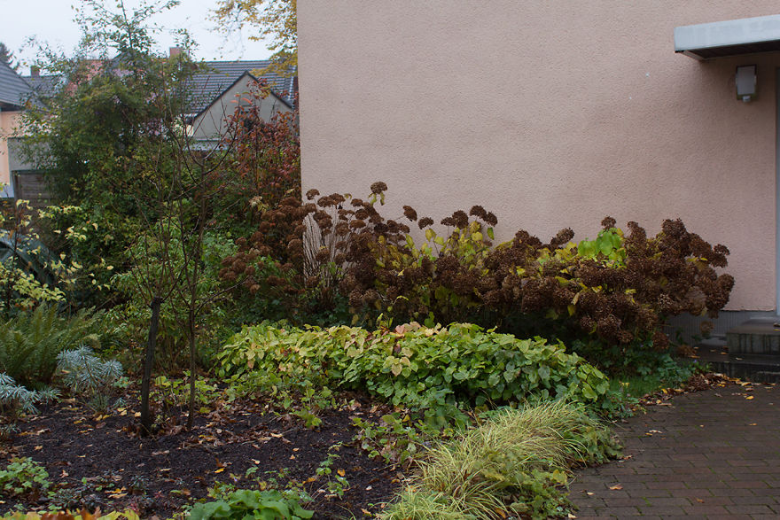 I Found Beautiful Locations In My Boring Neighborhood