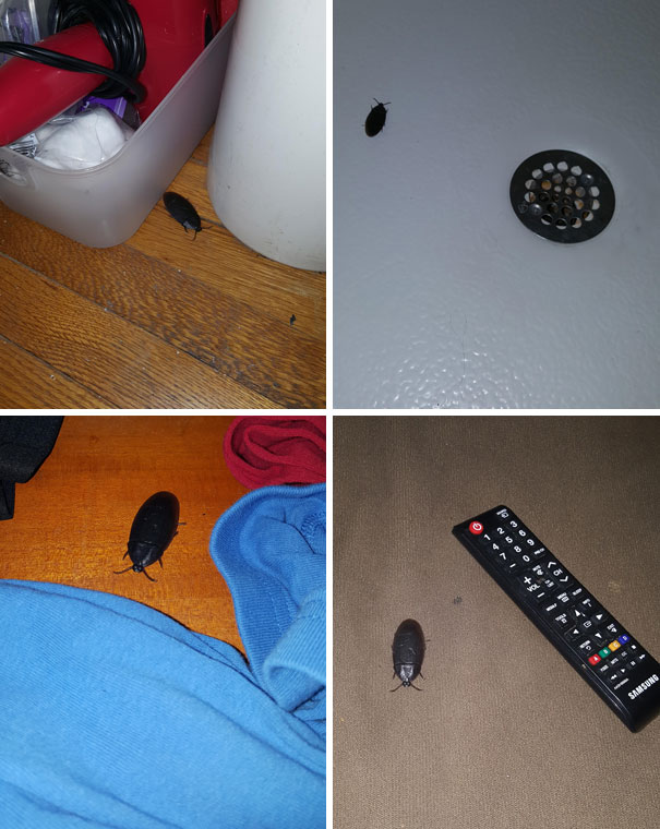 My Boyfriend Is Playing The Most Terrifying Game With Me