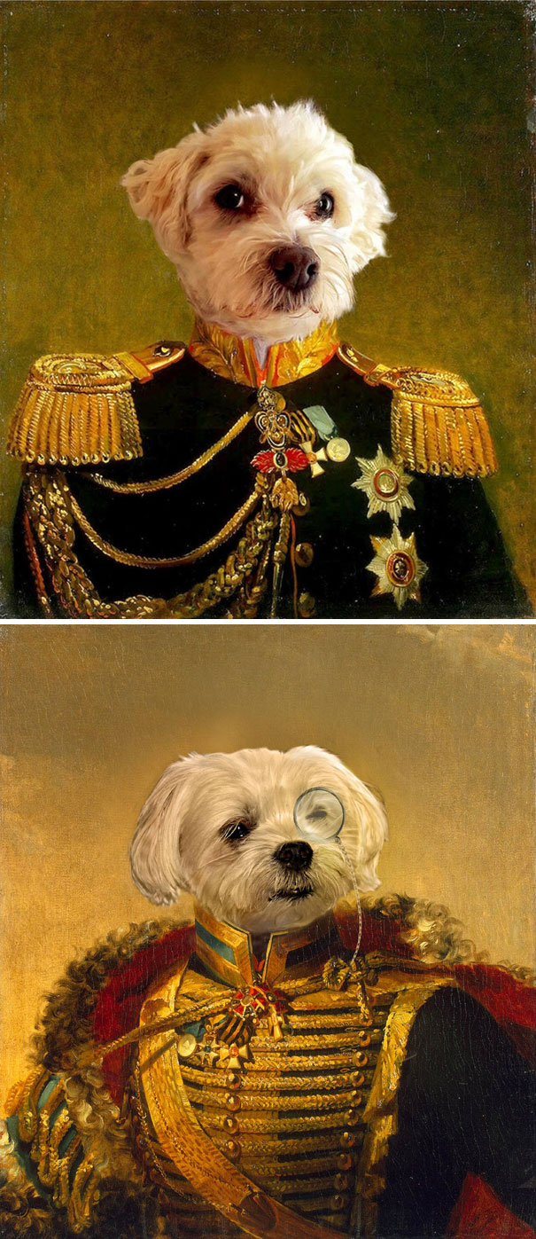 Girlfriend Said To Print Off A Nice Picture Of Our Dog And A "Normal" Picture Of Her Friend's Dog And It Better Not Be Photoshopped. So I Made These