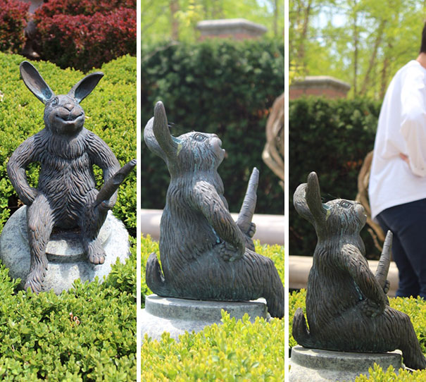 I Waited Patiently For Several Minutes For Just The Right Moment To Take The Third Photo. My Wife Wasn't Amused