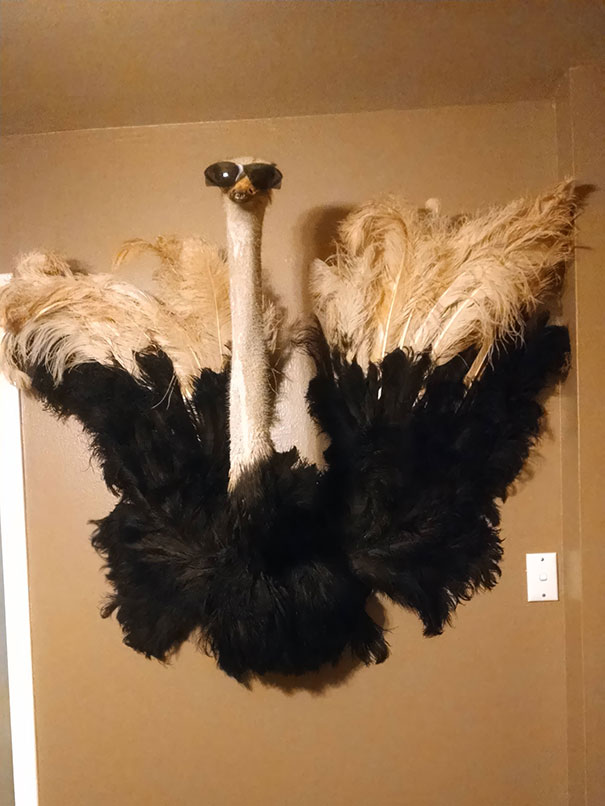 Just Moved Into A New House. This Is The First Thing I Put On The Wall. Girlfriend Is Not Amused