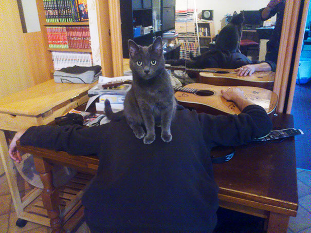 So, My Friend Drank Too Much, And Passed Out On The Table