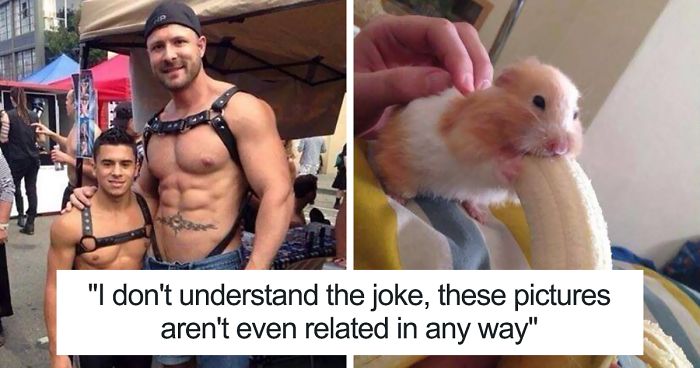 27 Times People Were Too Innocent For The Internet