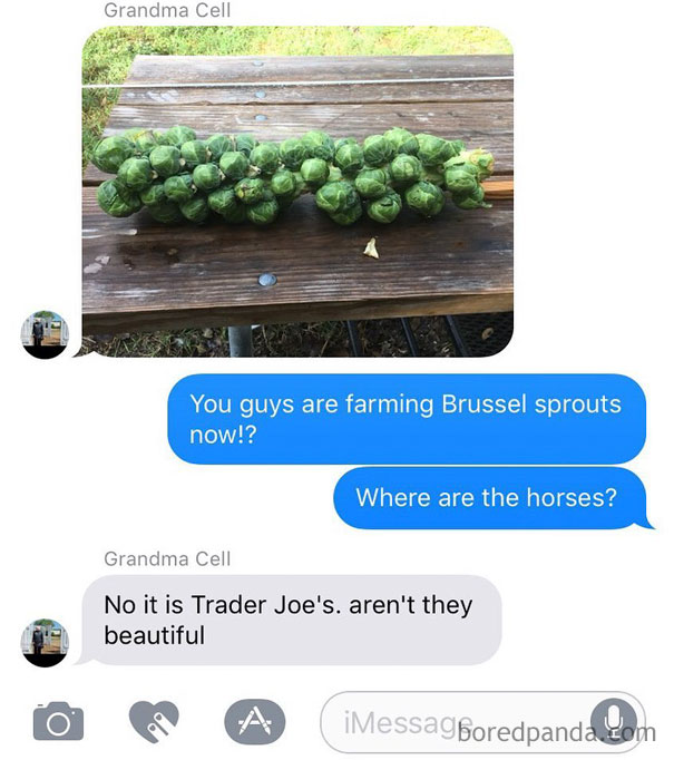 Beautiful Brussel Sprouts