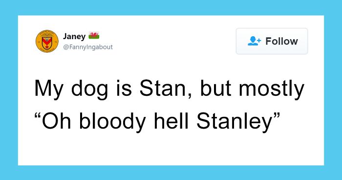 People Are Sharing The Names They Now Call Their Pets Instead Of The Original One, And It’s Hilarious