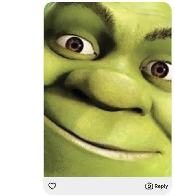 funny-sexting-response-shrek-6 funny-sexting-response-shrek-6