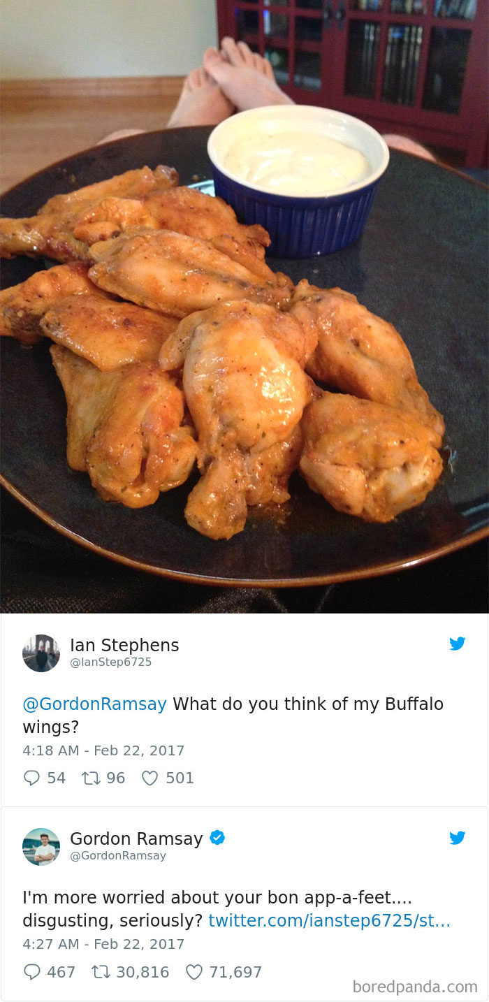 What Do You Think About These Wings? 