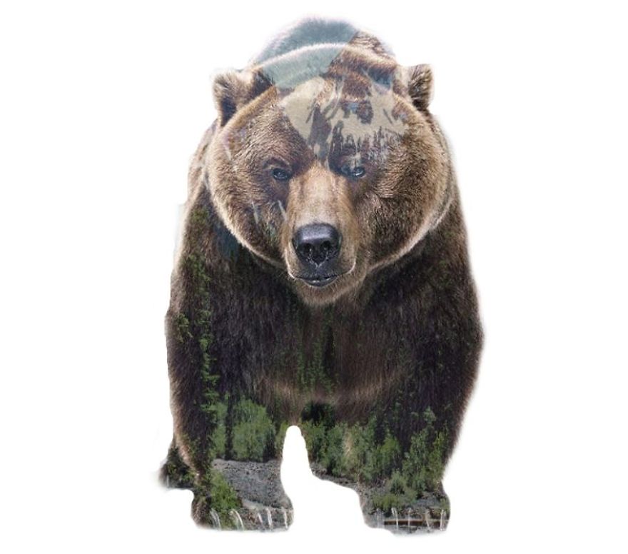 I Use Double Exposure To Create A Series That Merge Wildlife With Landscapes I Use Double Exposure To Create A Series That Merge Wildlife With Landscapes