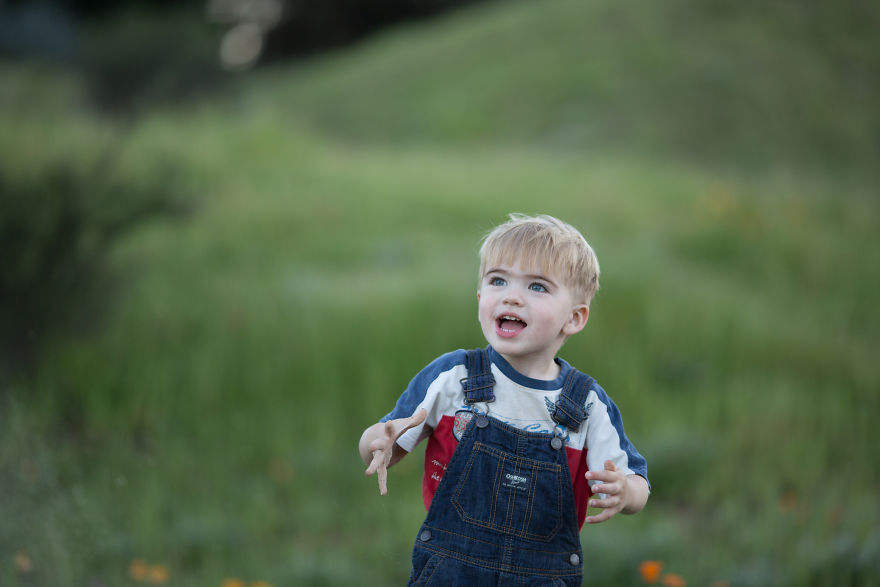 Photographer Uses Butterflies To Create A New Mini Photo Series Out Of Old "Unusable" Images